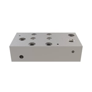 Manifold