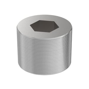 Pipe Plug