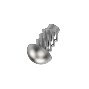 Screw