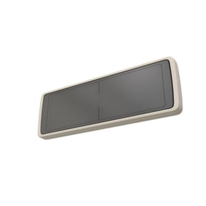 Display Module