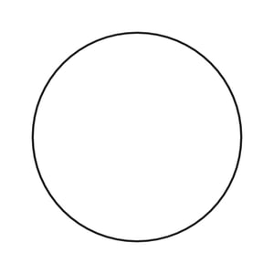 O-Ring