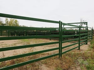 Image of PA6