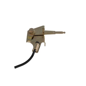 Image of AUC10646
