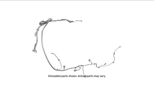 Image of 42517386