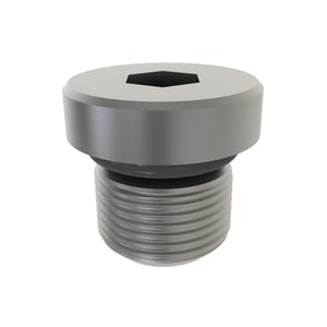 Fitting Plug
