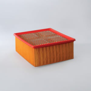 Donaldson P616743 Engine Air Filter