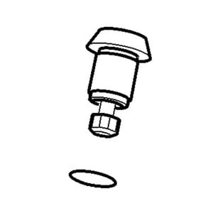Plug