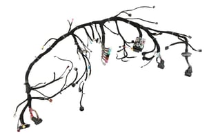 Image of 23444611