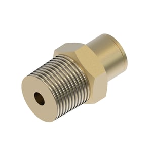 Image of AN274264