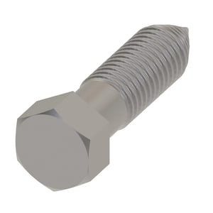Screw