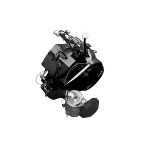 Image of AUC22261