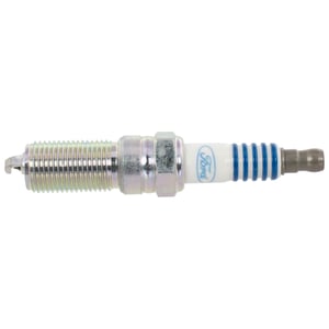 Image of SP594