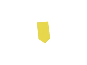 Image of 1001289794