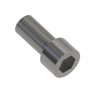 Screw