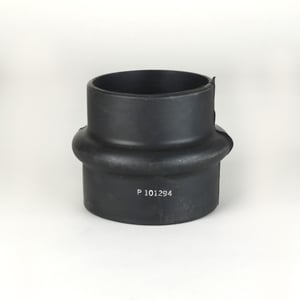 Image of P101294