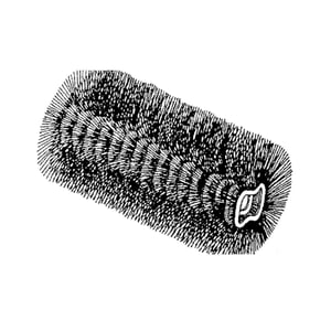 Brush
