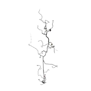 Image of AKK29454