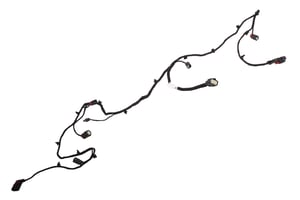 Image of 42569816