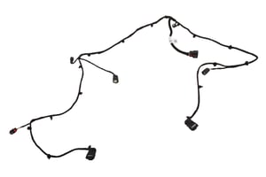 Image of 42569821