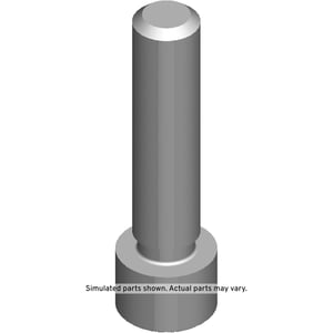 Image of 12560341