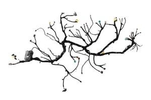 Image of 84532036