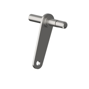 Arm