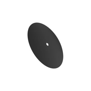 Disk