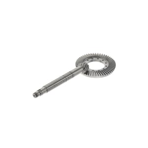 Bevel Gear