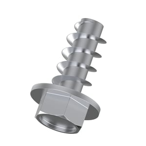 Screw