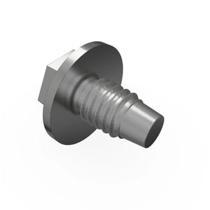 Screw With Washer