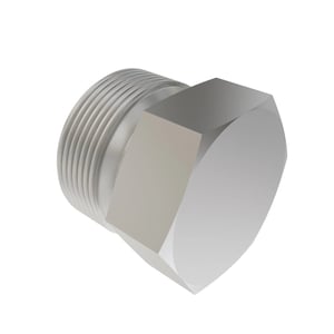 Fitting Plug