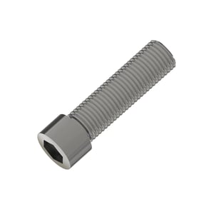 Screw