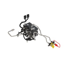 Image of BXX10674