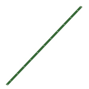 Stripper