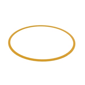 Back-Up Ring