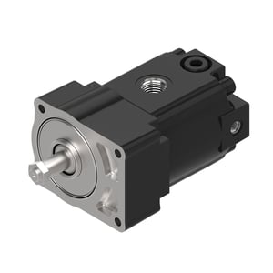 Image of AXE36096