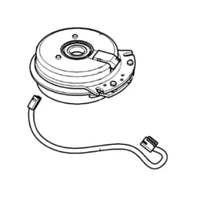 Image of AUC10373