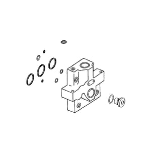 Manifold