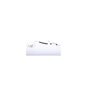 Image of 20793279