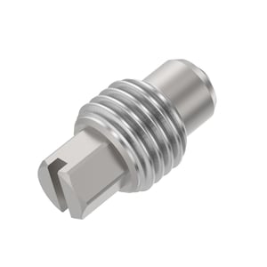 Screw