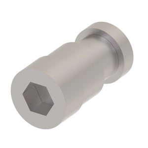 Check Valve