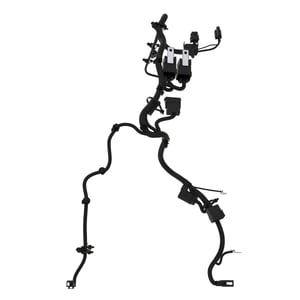 Image of AUC14216