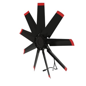 Fan