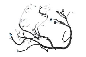 Image of 22916917