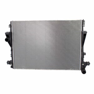 Image of RAD61