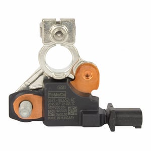 Image of BCTE1