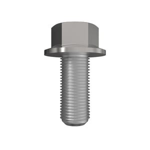 Screw