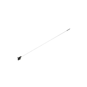 Image of AUC10455