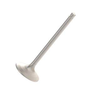 Intake Valve