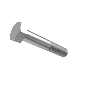Screw
